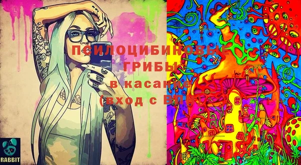 MESCALINE Елизово