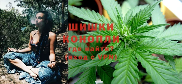 ГАЛЛЮЦИНОГЕННЫЕ ГРИБЫ Елабуга