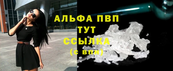 ГАЛЛЮЦИНОГЕННЫЕ ГРИБЫ Елабуга