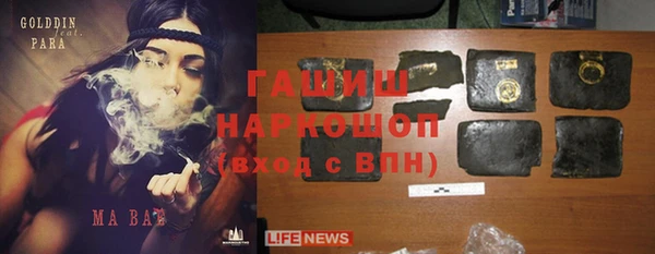 гашик Ельня