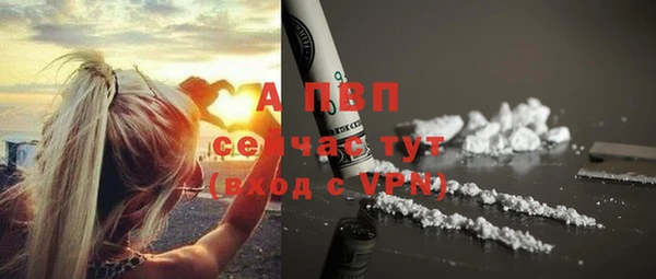 ГАЛЛЮЦИНОГЕННЫЕ ГРИБЫ Елабуга