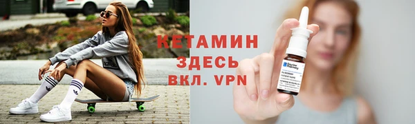 гашик Ельня