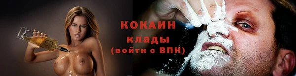 гашик Ельня