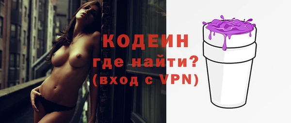 гашик Ельня