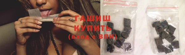 гашик Ельня
