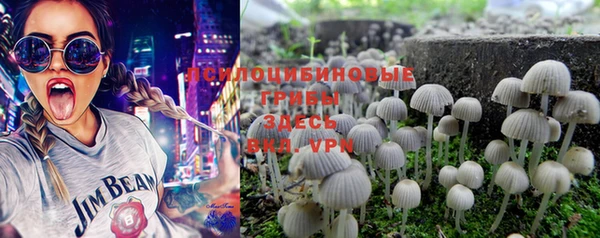 MESCALINE Елизово