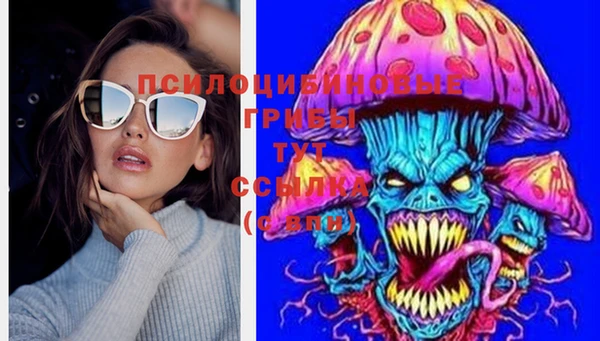 MESCALINE Елизово