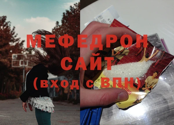 гашик Ельня