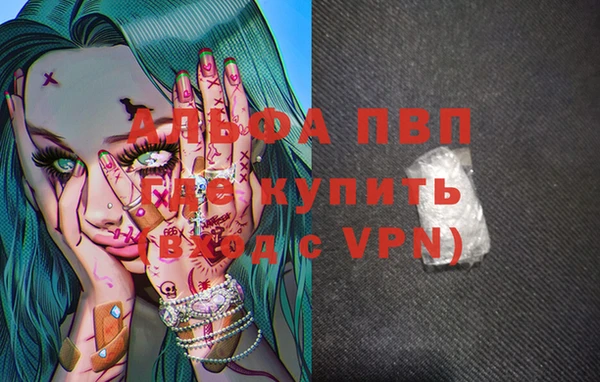 гашик Ельня
