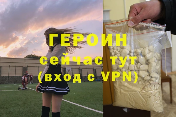 гашик Ельня