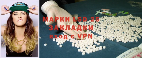 ГАЛЛЮЦИНОГЕННЫЕ ГРИБЫ Елабуга