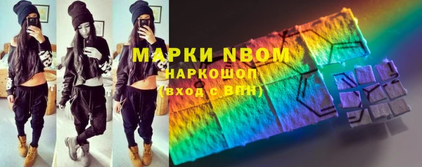 прущие грибы Новый Уренгой