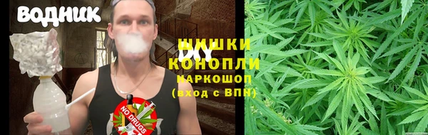 стаф Щучье