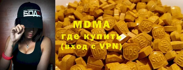 гашик Ельня