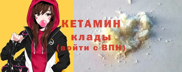 гашик Ельня