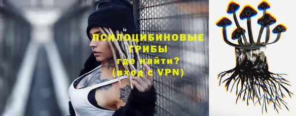 ГАЛЛЮЦИНОГЕННЫЕ ГРИБЫ Елабуга